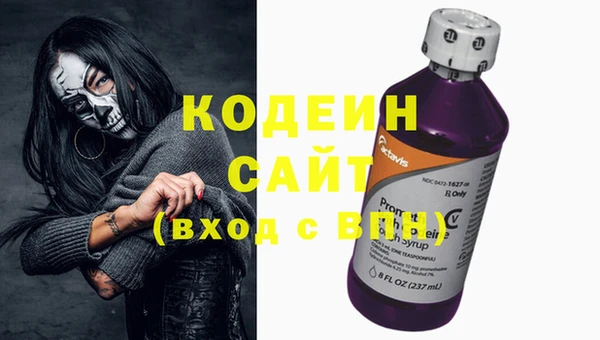 герыч Арсеньев