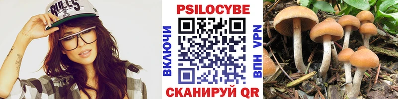 Псилоцибиновые грибы ЛСД МЕГА зеркало Рыльск где купить