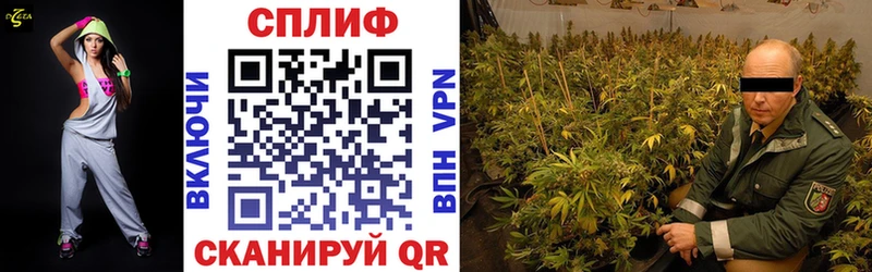где продают наркотики  Рыльск  нарко площадка формула  Канабис ГИДРОПОН 